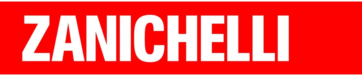 Logo di Zanichelli Editore S.p.A. Logo di Zanichelli Editore S.p.A.